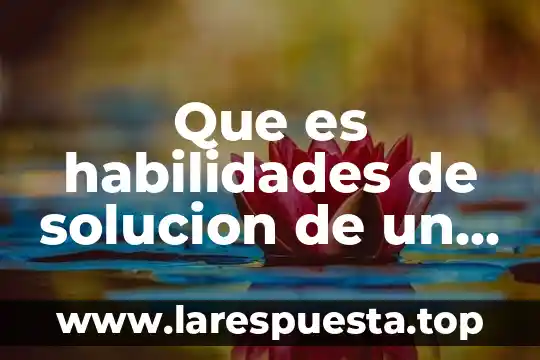 Que es habilidades de solucion de un problema