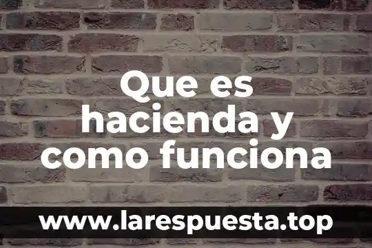 Que es un contac center y como funciona 3 Que es hacienda y como funciona