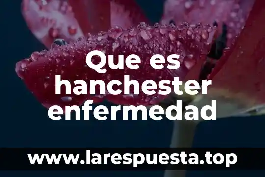 Que es omicron enfermedad 5 Que es hanchester enfermedad