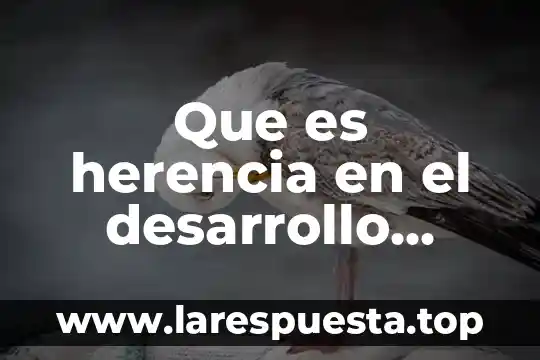 Que es herencia en el desarrollo humano