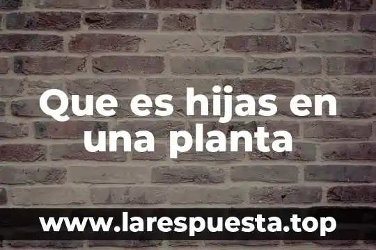 Que es hijas en una planta