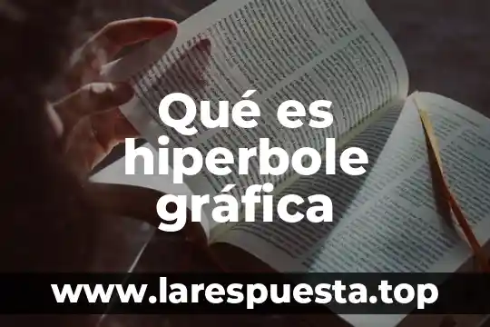 Qué es hiperbole gráfica