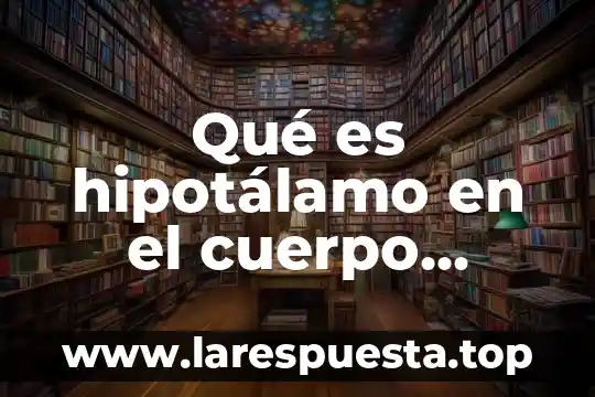 Qué es hipotálamo en el cuerpo humano