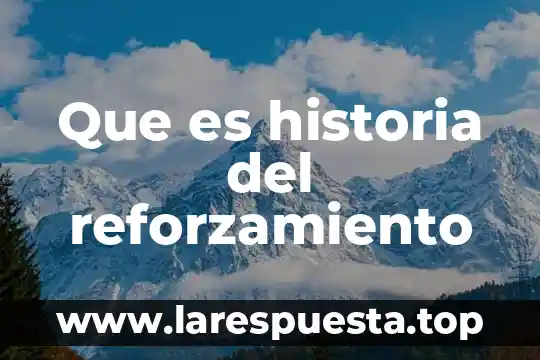Que es clerical en historia 8 Que es historia del reforzamiento