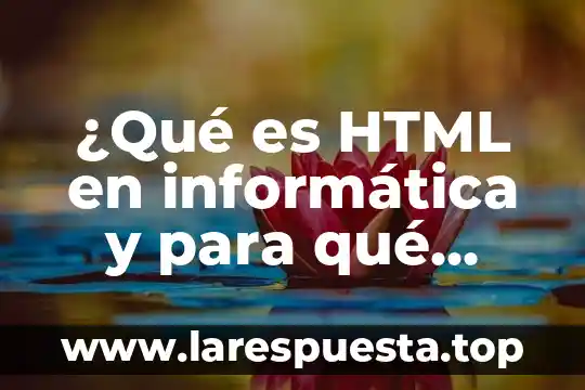 Hidden element html que es lo contrario 4 ¿Qué es HTML en informática y para qué sirve?