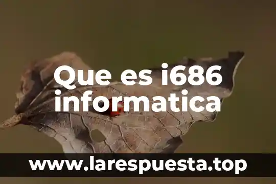 Que es i686 informatica