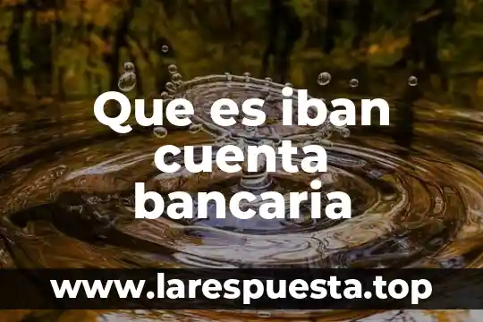 Que es una cuenta bancaria fiscalizada 3 Que es iban cuenta bancaria