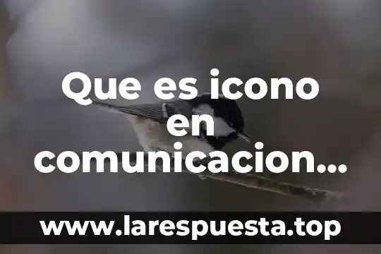 Que es icono en comunicacion y lenguaje ejemplos