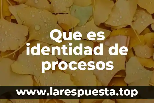 Que es epistemología por procesos 3 Que es identidad de procesos