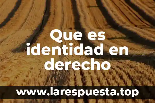 Que es identidad en derecho