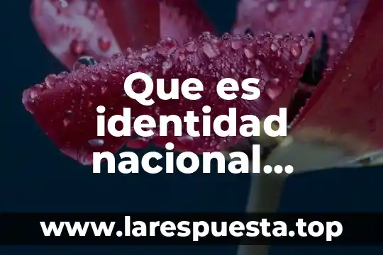 Que es identidad nacional 2ejemplos