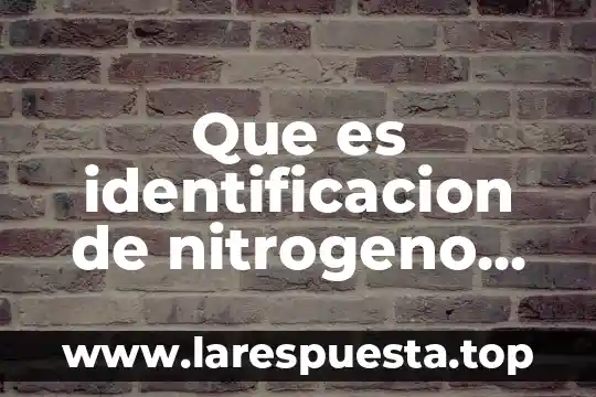 Que es aso4 en quimica 4 Que es identificacion de nitrogeno en la quimica organica