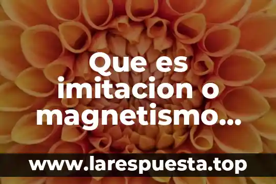 Magnetismo que es una 4 Que es imitacion o magnetismo en quimica yahoo