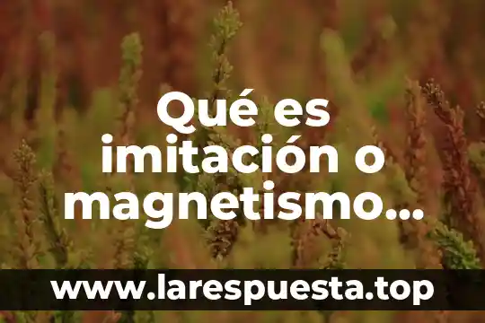 Magnetismo que es una 7 Qué es imitación o magnetismo química
