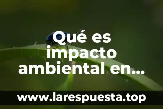 Qué es el alto impacto ambiental 4 Qué es impacto ambiental en un almacén