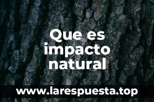 Que es propoleo natural 8 Que es impacto natural