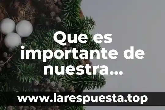 Por que es importante la filosofia en nuestra vida diaria 8 Que es importante de nuestra opinion sobre un tema