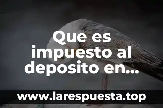 Que es impuesto al deposito en efectivo