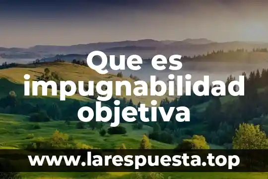 Que es una noticia objetiva 3 Que es impugnabilidad objetiva