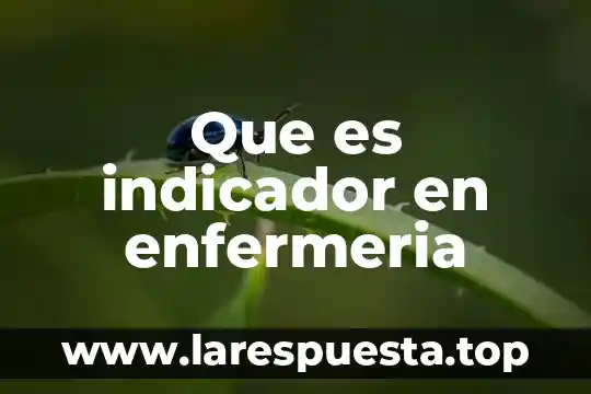 Que es indicador en enfermeria