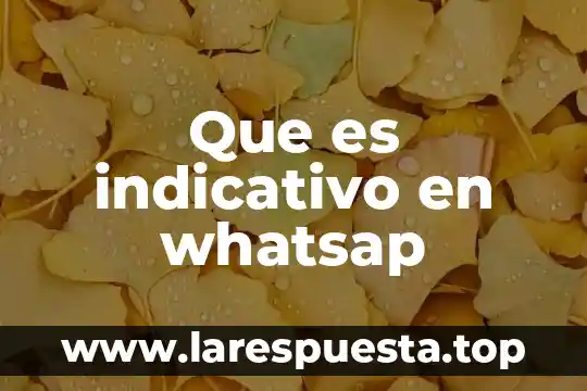 Que es indicativo en whatsap