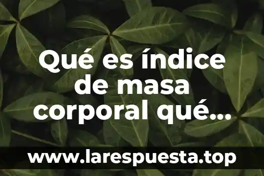 Que es el indice de rentabilidad de un proyecto 8 Qué es índice de masa corporal qué estadístico