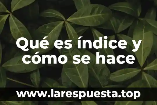 Que es el indice de rentabilidad de un proyecto 6 Qué es índice y cómo se hace