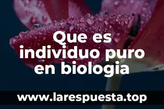 Que es individuo puro en biologia