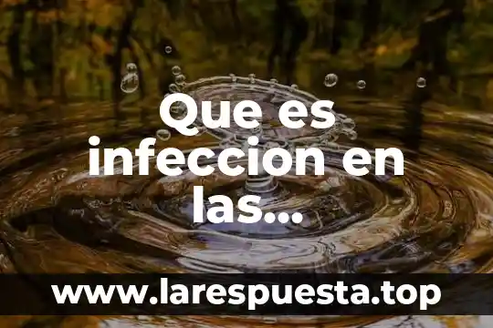 Que es el 3d modeling 5 Que es infeccion en las articulaciones
