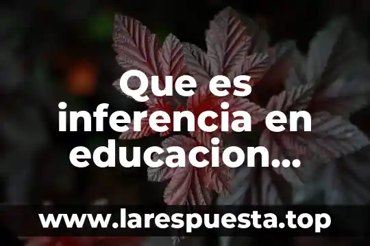 Según investigación que es inferencia 3 Que es inferencia en educacion primaria