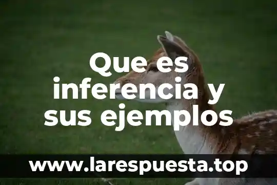 Según investigación que es inferencia 4 Que es inferencia y sus ejemplos