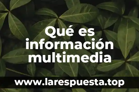 Que es el desarrollo de software multimedia 5 Qué es información multimedia