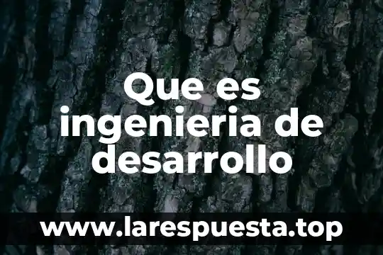 Que es ingenieria en diseño textil y moda 8 Que es ingenieria de desarrollo
