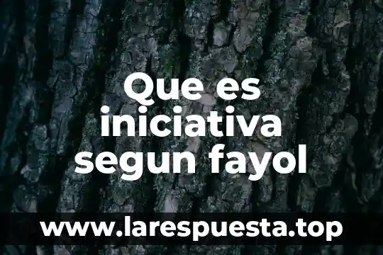 Que es iniciativa de trabajo 4 Que es iniciativa segun fayol