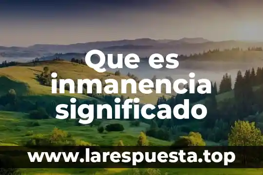 Que es inmanencia significado