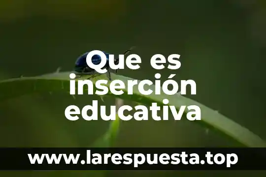 Que es inserción educativa