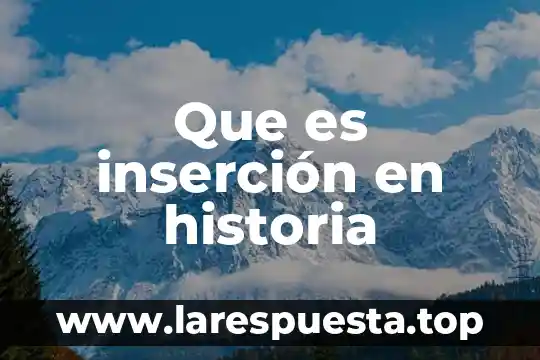 Que es inserción en historia