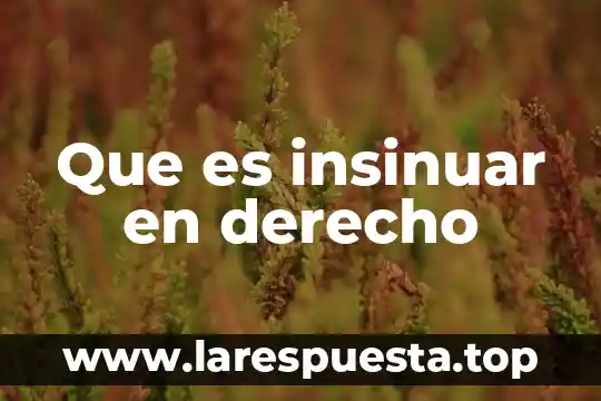 Para que es el derecho internacional 4 Que es insinuar en derecho