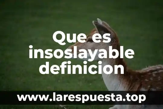 Que es insoslayable definicion