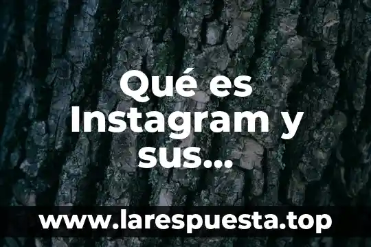 Que es el circulo rojo en instagram en buscar personas 7 Qué es Instagram y sus características