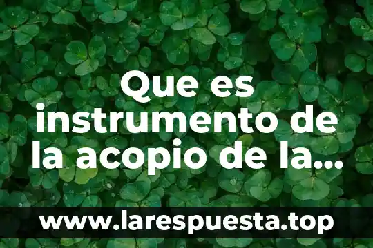 Que es instrumento de la acopio de la informacion