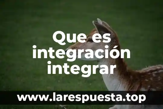 Qué es nodo de integración 5 Que es integración integrar
