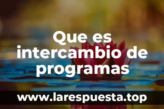 Que es intercambio de programas