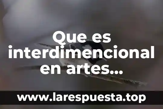 Que es interdimencional en artes visuales