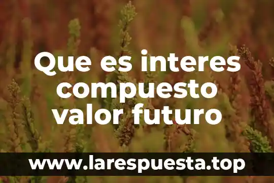 Que es un quimico y un compuesto 7 Que es interes compuesto valor futuro