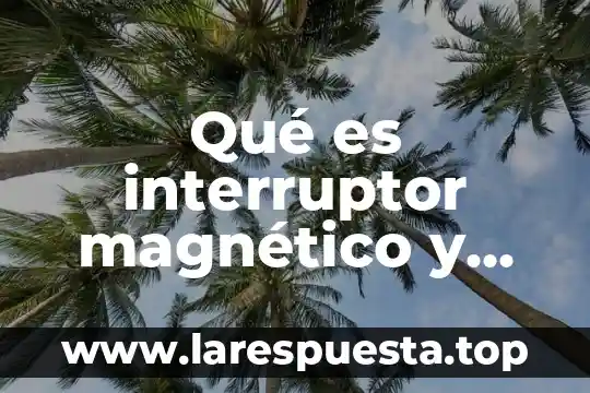 Qué es interruptor magnético y sus tipos