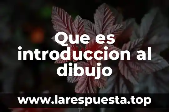 Que es introduccion al dibujo
