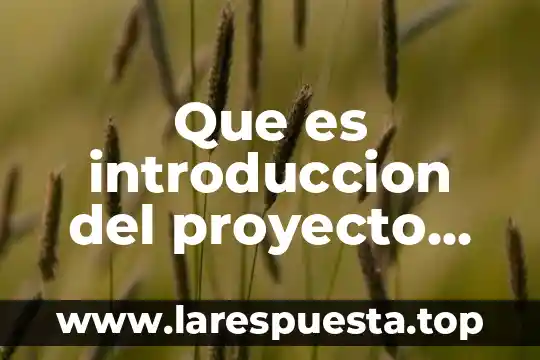 Que es el aeroplano en la revolucion industrial 8 Que es introduccion del proyecto de la revolucion mexicana
