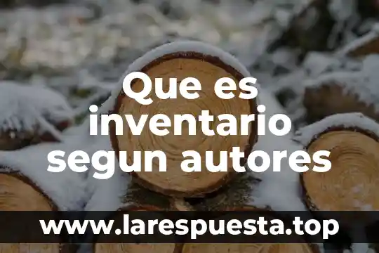 Que es inventario segun autores