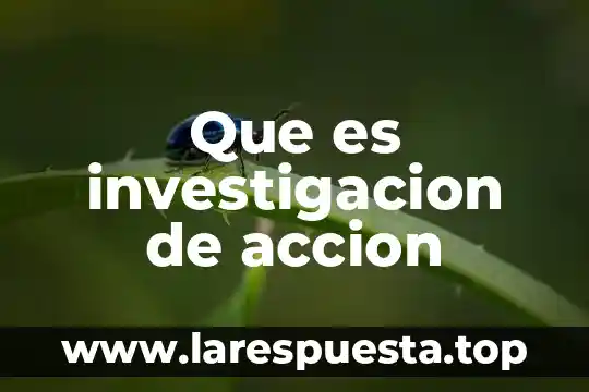 Que es investigacion de accion